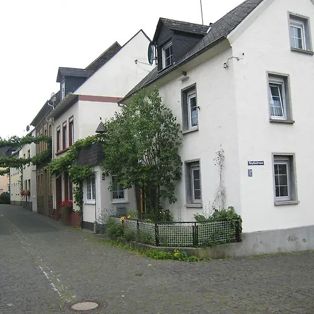 Cozy Holiday In Bruttig-fankel With Vineyards Nearby Holiday home