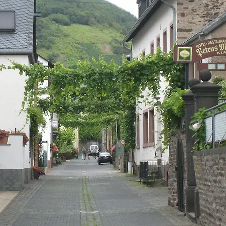 Cozy Holiday In Bruttig-fankel With Vineyards Nearby Holiday home *