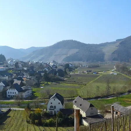 Cozy Holiday In Bruttig-fankel With Vineyards Nearby Holiday home Klotten